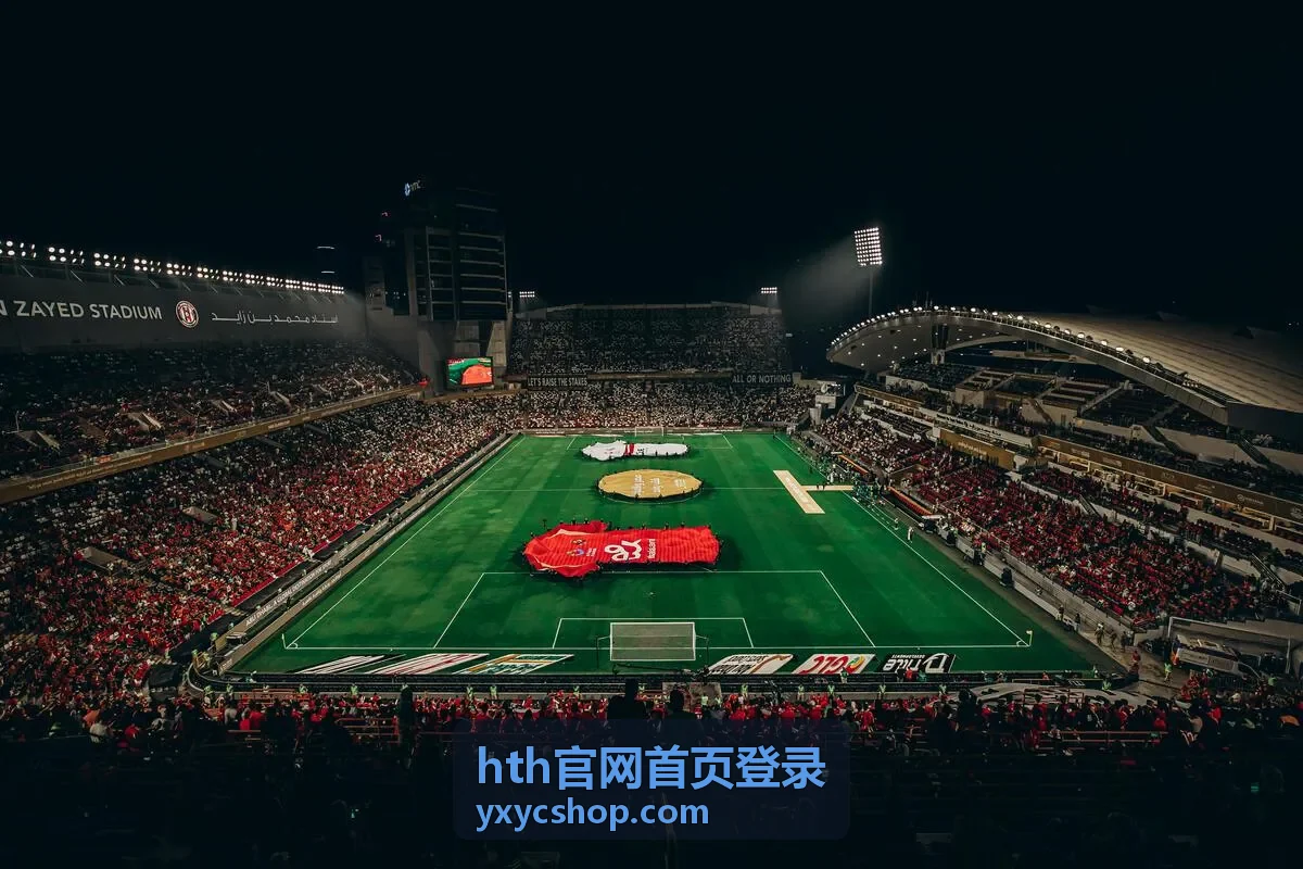 hth官网首页登录 账号安全设置配图