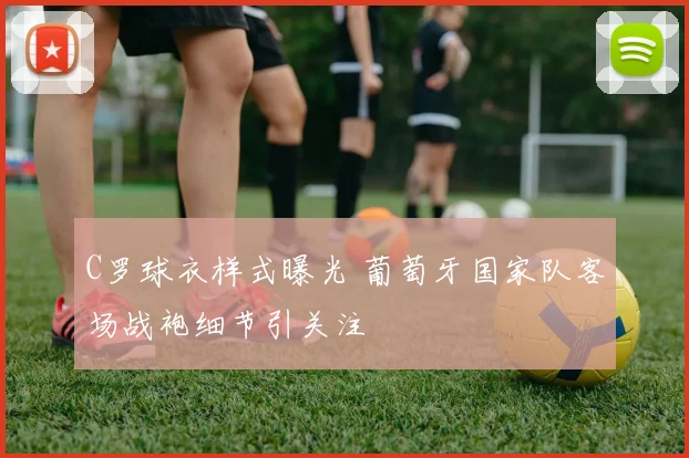 C罗球衣样式曝光 葡萄牙国家队客场战袍细节引关注