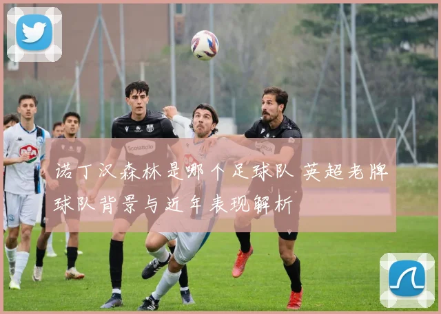 诺丁汉森林是哪个足球队 英超老牌球队背景与近年表现解析